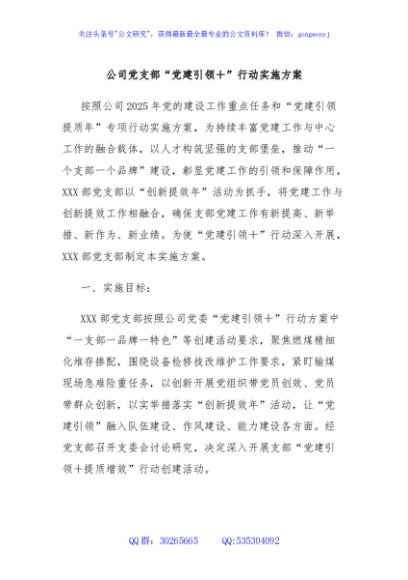 公司党支部“党建引领＋”行动实施方案