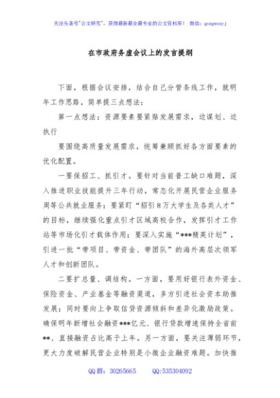 在市政府务虚会议上的发言提纲