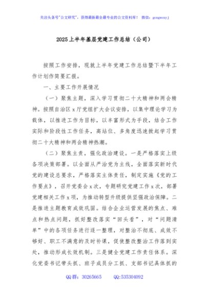 2025 上半年基层党建工作总结（公司）