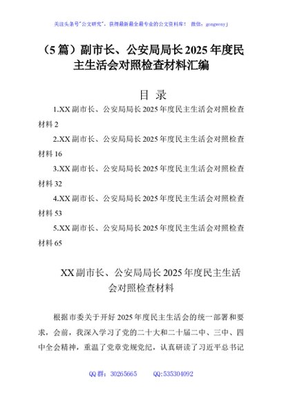 （5篇）副市长、公安局局长2025年度民主生活会对照检查材料汇编