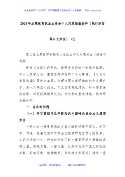 2023年主题教育民主生活会个人对照检查材料（践行宗旨等6个方面） (9)