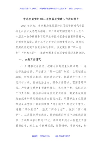 市水利局党组2024年抓基层党建工作述职报告