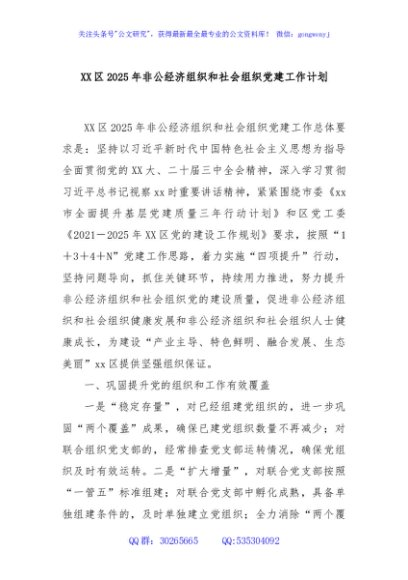 XX区2025年非公经济组织和社会组织党建工作计划