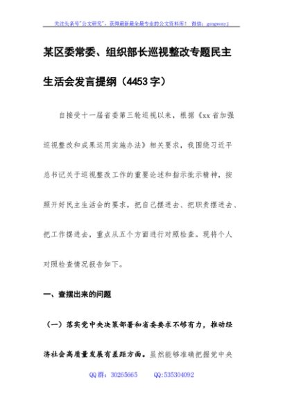 区委常委、组织部长巡视整改专题民主生活会发言提纲