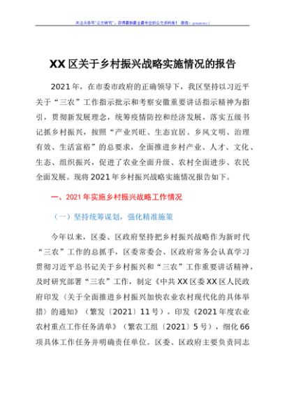 XX区关于乡村振兴战略实施情况的报告