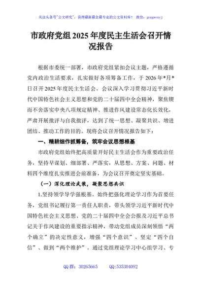市政府党组2025年度民主生活会召开情况报告