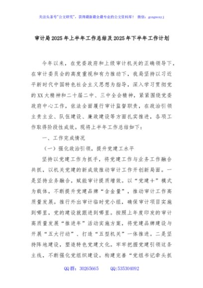 审计局2025年上半年工作总结及2025年下半年工作计划