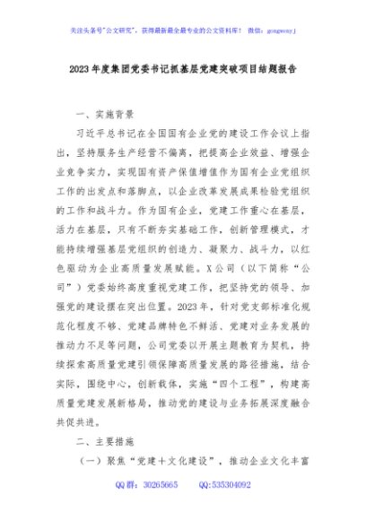 2023年度集团党委书记抓基层党建突破项目结题报告
