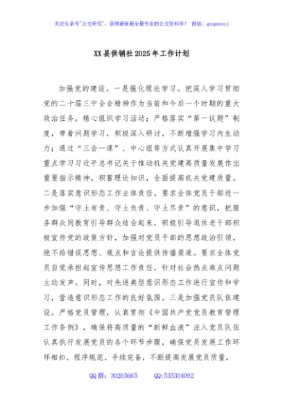 XX县供销社2025年工作计划