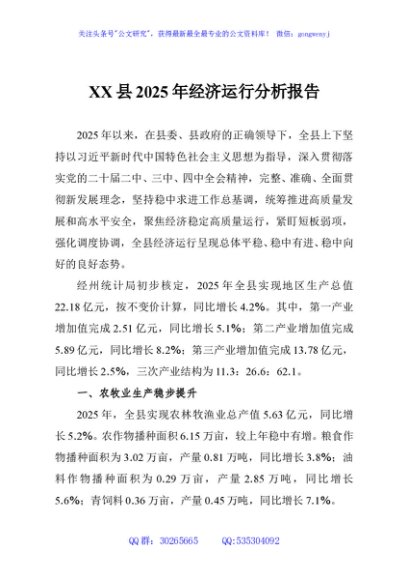 XX县2025年经济运行分析报告