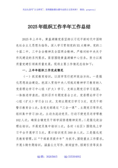 2025年组织工作半年工作总结