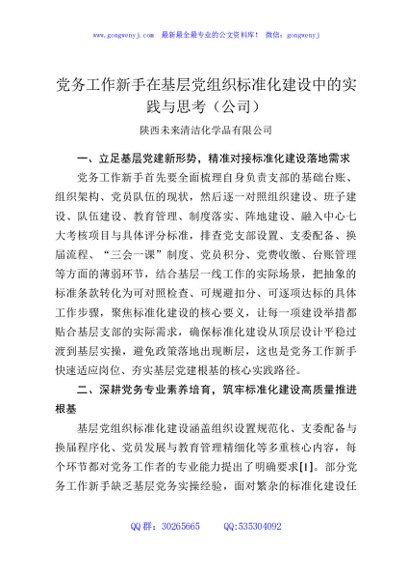 党务工作新手在基层党组织标准化建设中的实践与思考（公司）
