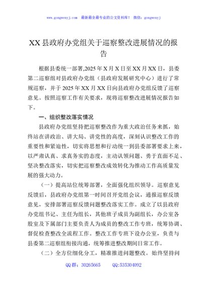 XX县政府办党组关于巡察整改进展情况的报告