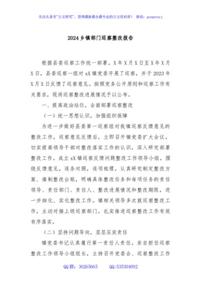 2024乡镇部门巡察整改报告