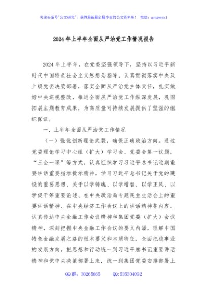 2024年上半年全面从严治党工作情况报告