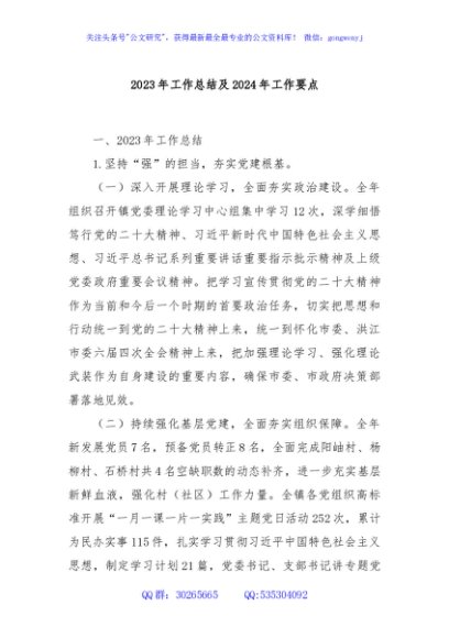 2023年工作总结及2024年工作要点