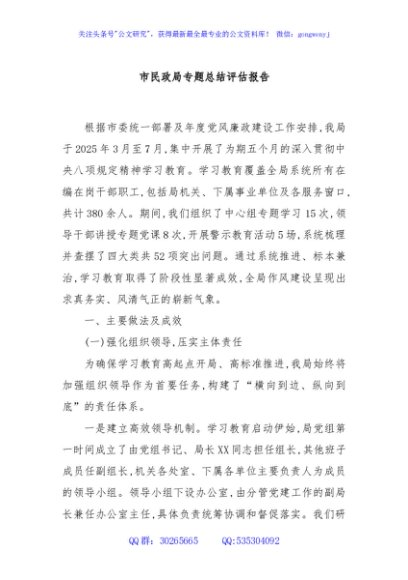 市民政局专题总结评估报告