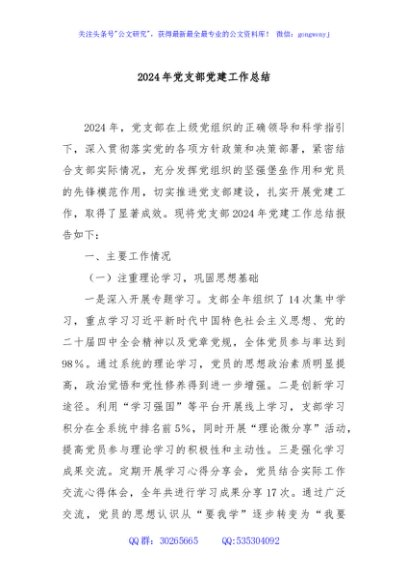 2024年党支部党建工作总结