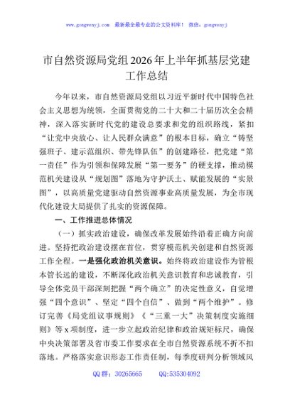 市自然资源局党组2026年上半年抓基层党建工作总结