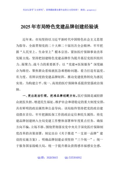 2025年市局特色党建品牌创建经验谈