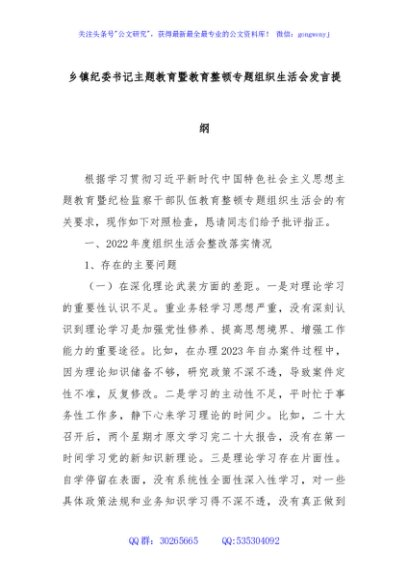 乡镇纪委书记主题教育暨教育整顿专题组织生活会发言提纲