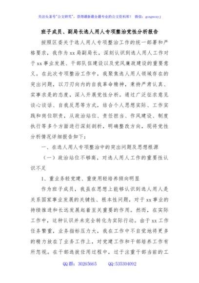 班子成员、副局长选人用人专项整治党性分析报告