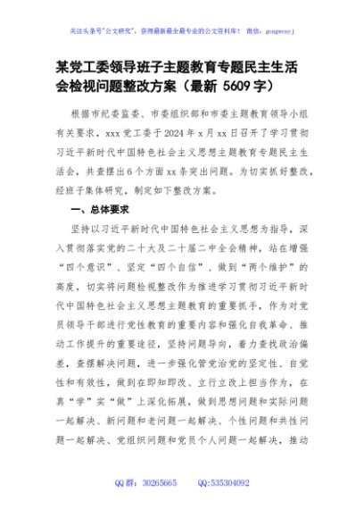 （会后）党工委主题教育专题民主生活会检视问题整改方案