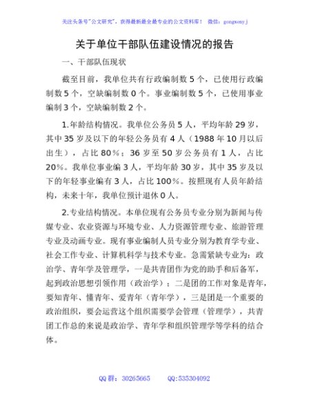 干部队伍建设情况报告