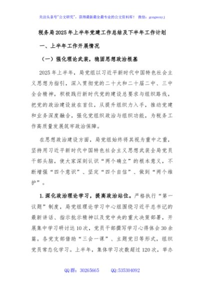 税务局2025年上半年党建工作总结及下半年工作计划