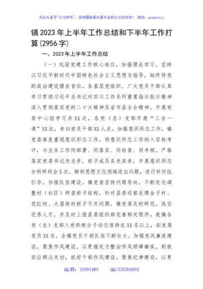 镇2023年上半年工作总结和下半年工作打算