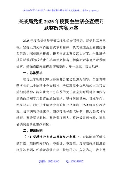 某某局党组2025年度民主生活会查摆问题整改落实方案
