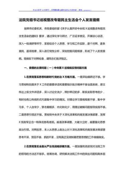 法院党组书记巡视整改专题民主生活会个人发言提纲