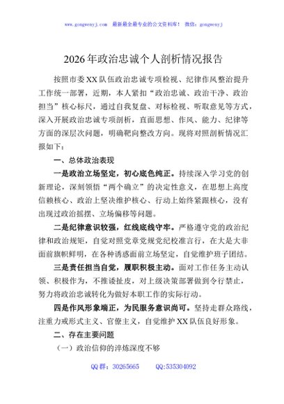2026年政治忠诚个人剖析情况报告