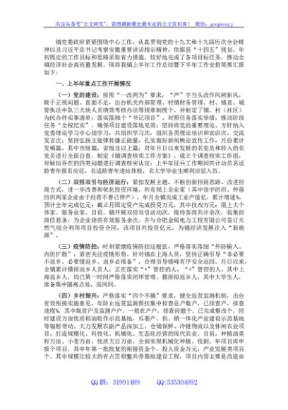 镇2022年上半年工作总结暨下半年工作安排