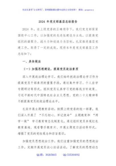 2024 年党支部基层总结报告