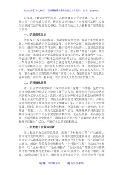 非公党建助力乡村振兴发展汇报材料