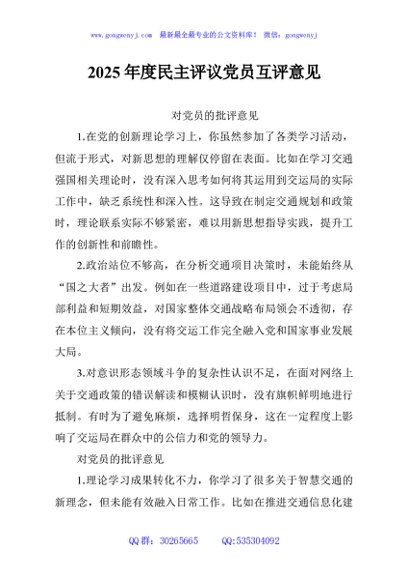 2025年度民主评议党员互评意见
