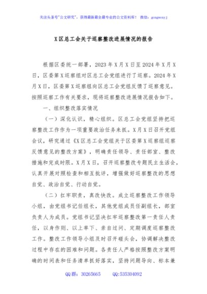 X区总工会关于巡察整改进展情况的报告