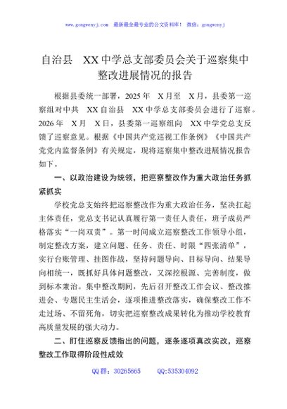 自治县XX中学总支部委员会关于巡察集中整改进展情况的报告
