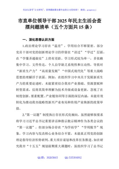 市直单位领导干部2025年民主生活会查摆问题清单（五个方面共15条）
