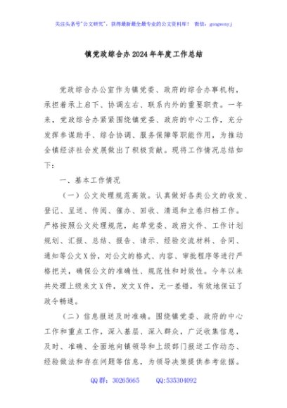 镇党政综合办2024年年度工作总结