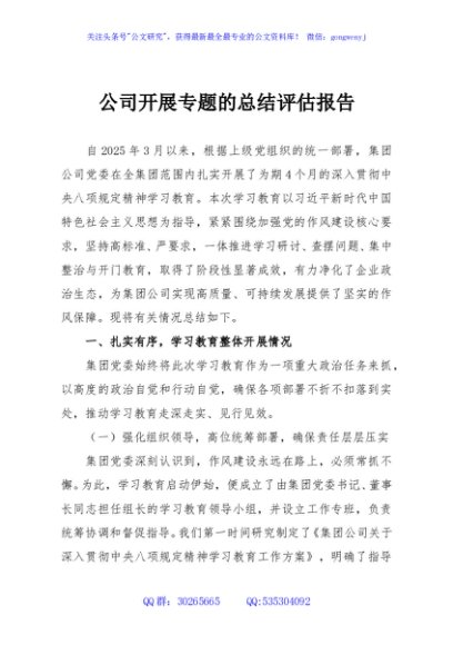 公司开展专题的总结评估报告