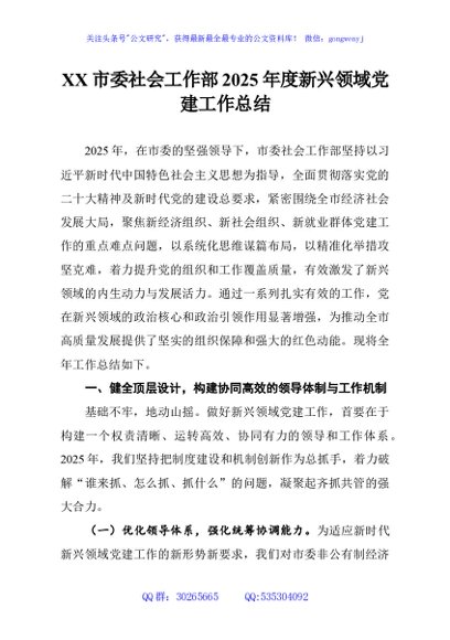 XX市委社会工作部2025年度新兴领域党建工作总结