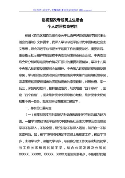 巡视整改专题民主生活会对照检查材料
