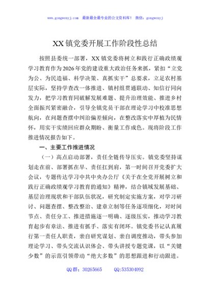 XX镇党委开展工作阶段性总结