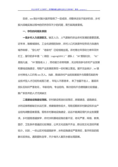 某镇关于乡村振兴战略实施过程的问题及建议