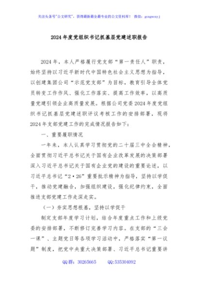 2024年度党组织书记抓基层党建述职报告