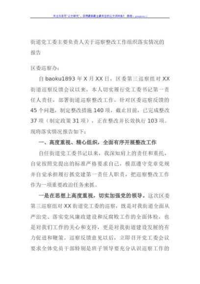 街道党工委主要负责人关于巡察整改工作组织落实情况的报告