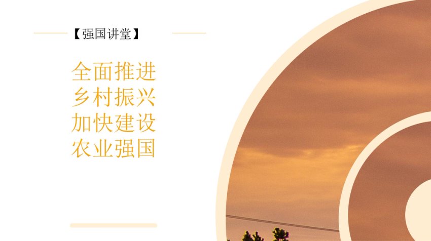 全面推进乡村振兴 加快建设农业强国