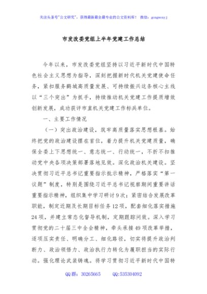 市发改委党组上半年党建工作总结